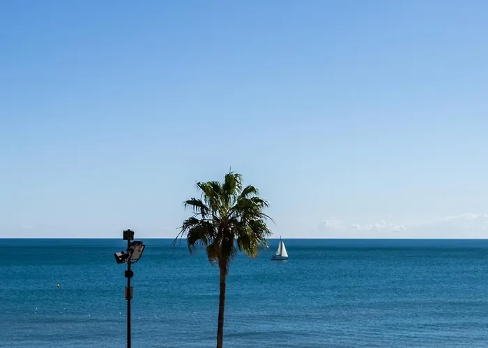 Sur Don Miguel * Fuengirola